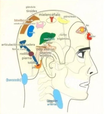 Reflexologia_13
