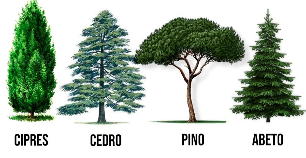 maderas-poco-efectivas-para-pendulo