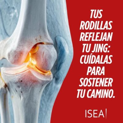 tus-rodillas-reflejan-cosas