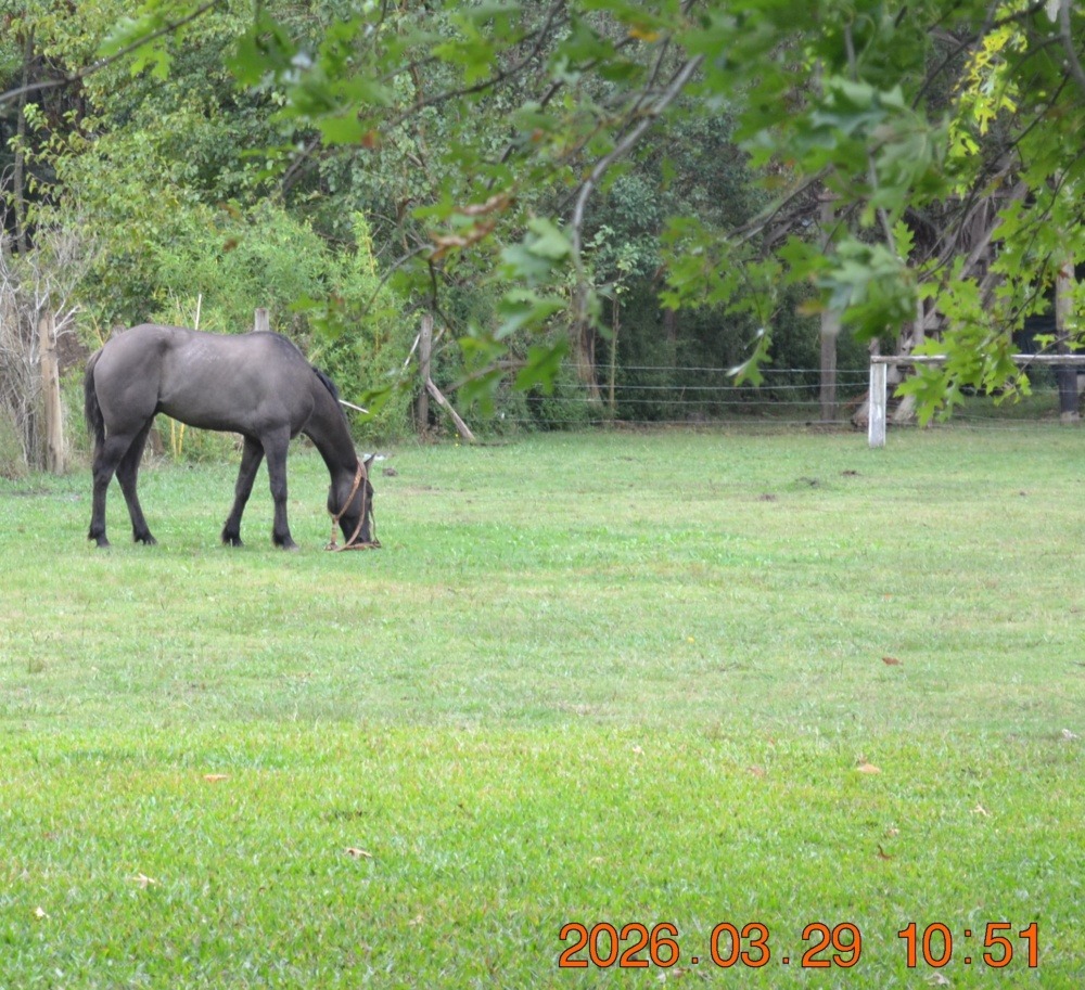 Club_Amigos_Muniz-Excursion_Isla_Morena_20